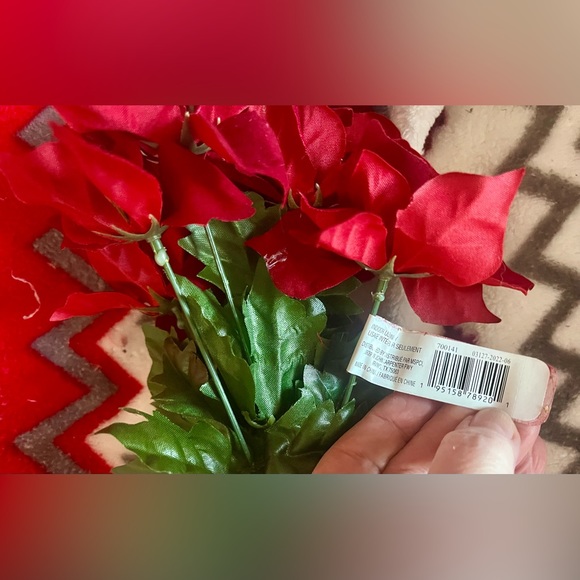 1 poinsettias red plant Christmas - Picture 9 of 13